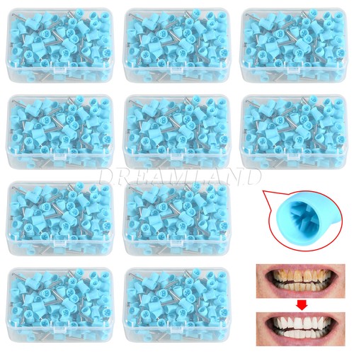 1000pcs dental rubber prophy - dental,